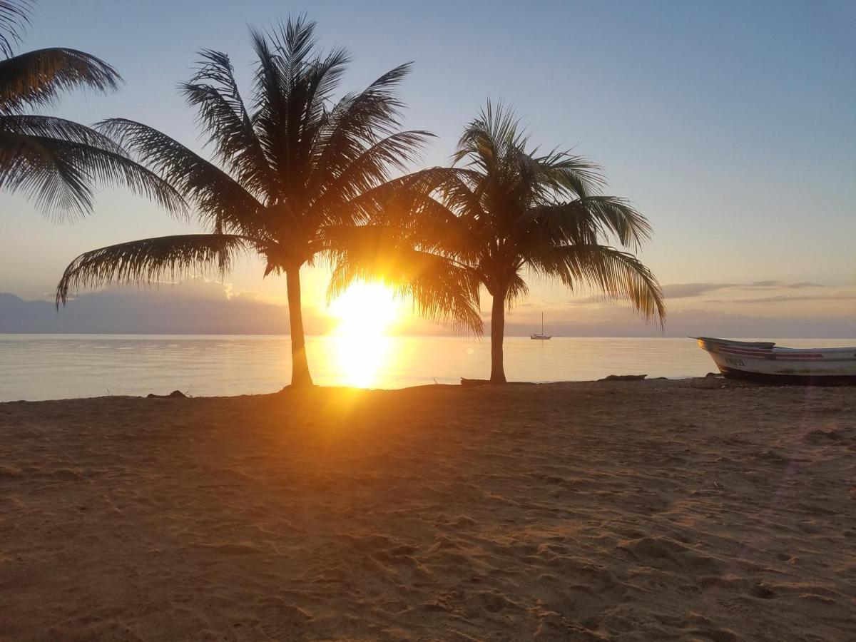 Pal'S On The Beach - Dangriga, Belize Exterior foto