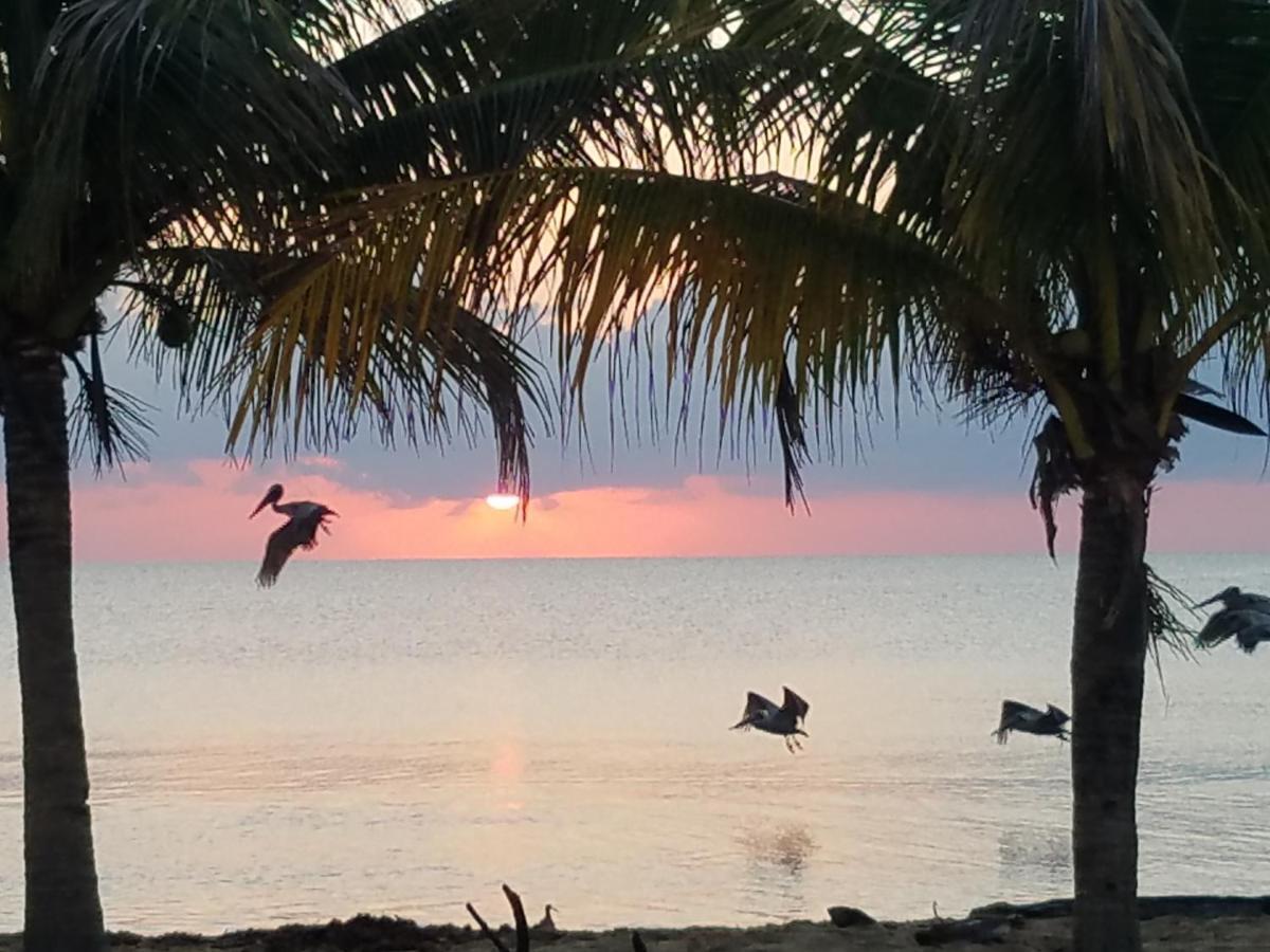 Pal'S On The Beach - Dangriga, Belize Exterior foto
