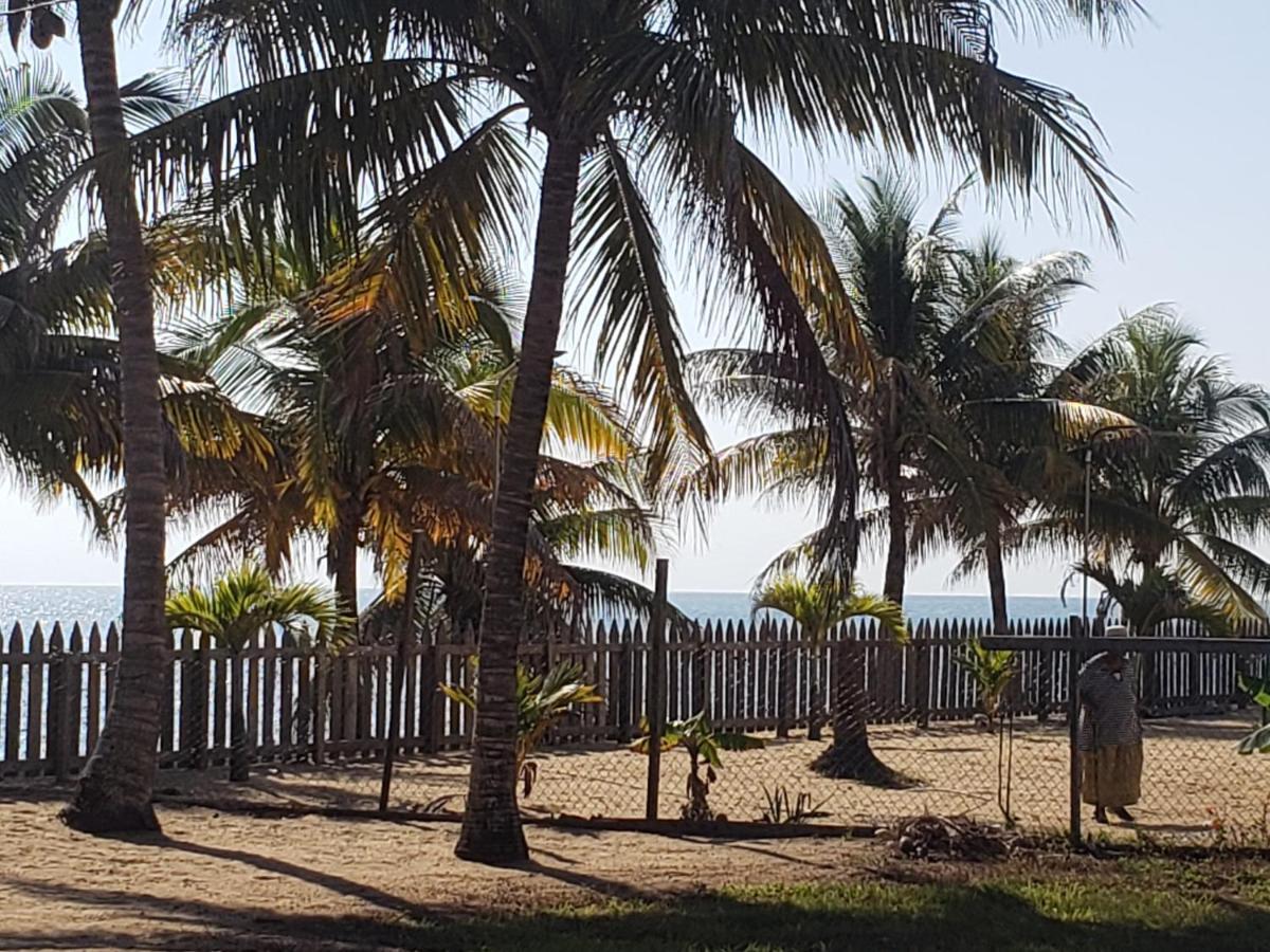 Pal'S On The Beach - Dangriga, Belize Exterior foto